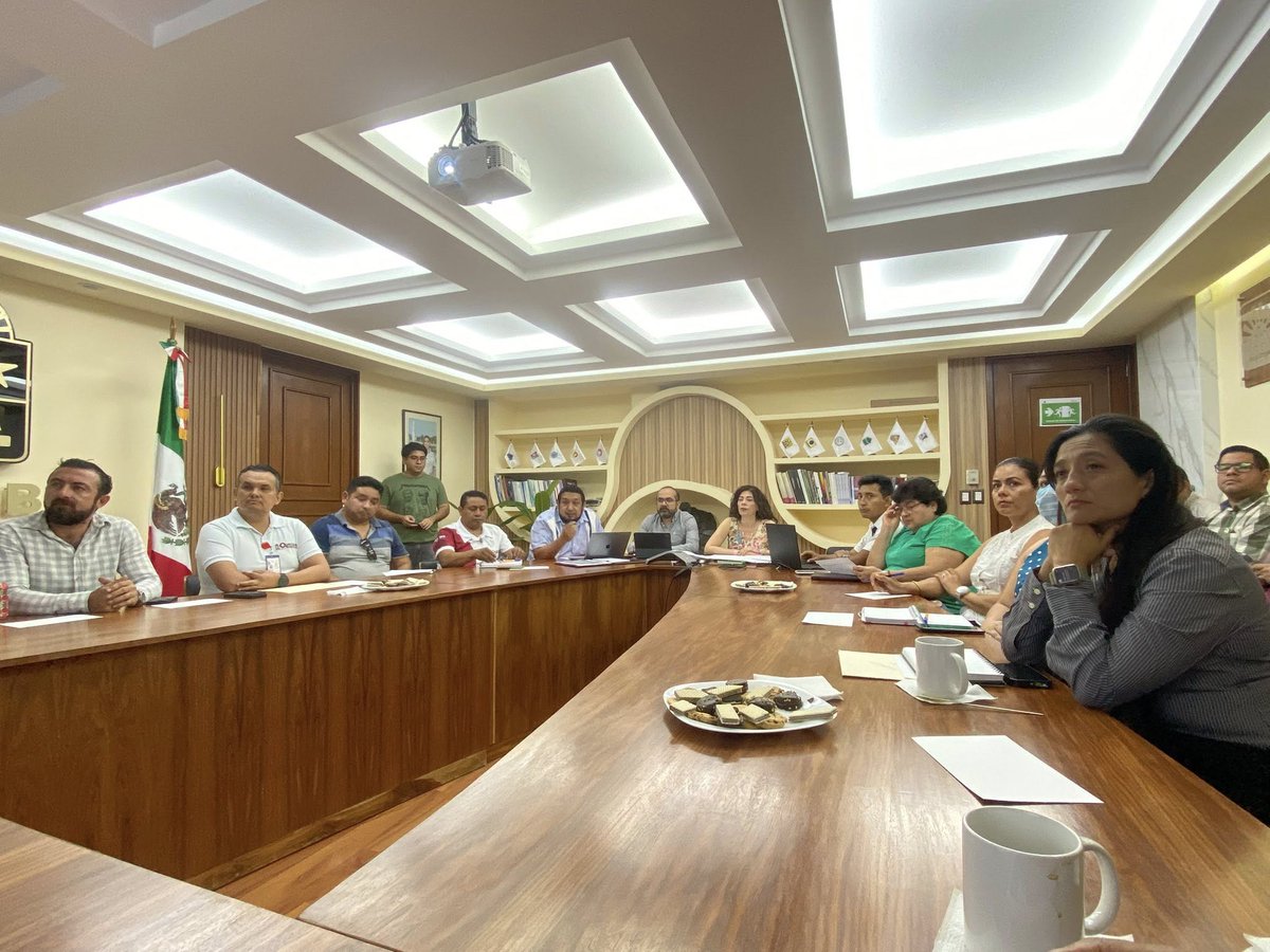 SEGOBQROO tweet media