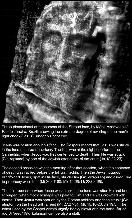 Oneoftwowitnesses tweet media