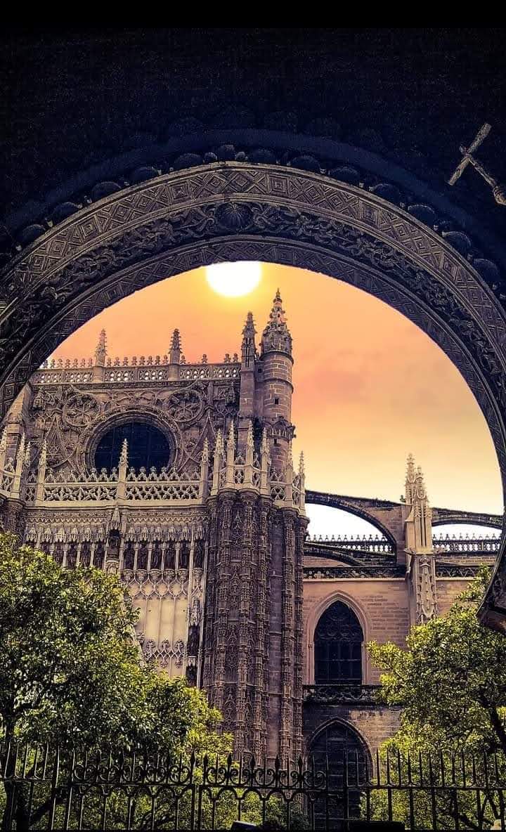 BIRIBIREANDO tweet media