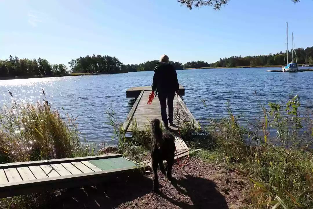 Maths teacher tweet media