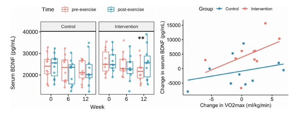 foundmyfitness's tweet image. When you get fitter, you release more BDNF after exercise.

Improvements in VO₂ max after 12 weeks of training were associated with greater changes in post-exercise BDNF levels (even though resting BDNF didn't change). And the more VO₂ max improved, the higher BDNF rose after
