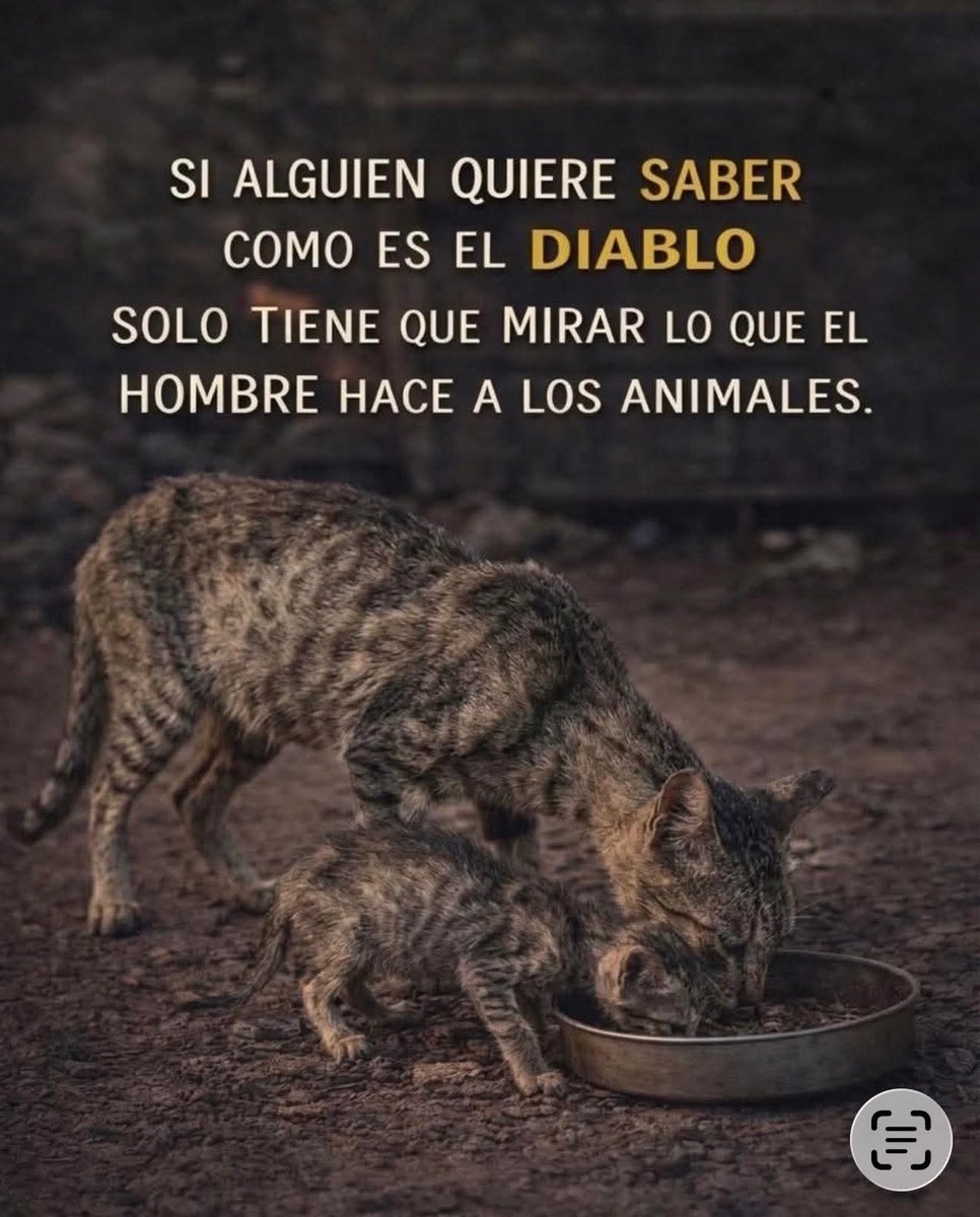 Brenda 💕 tweet media