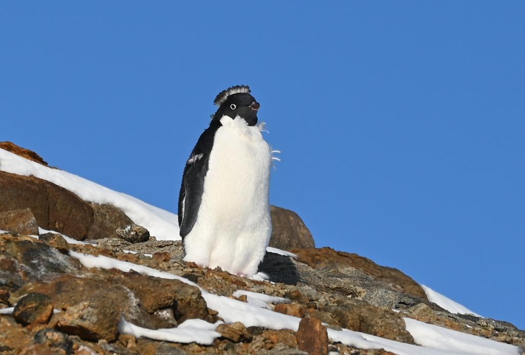 クーラー tweet media