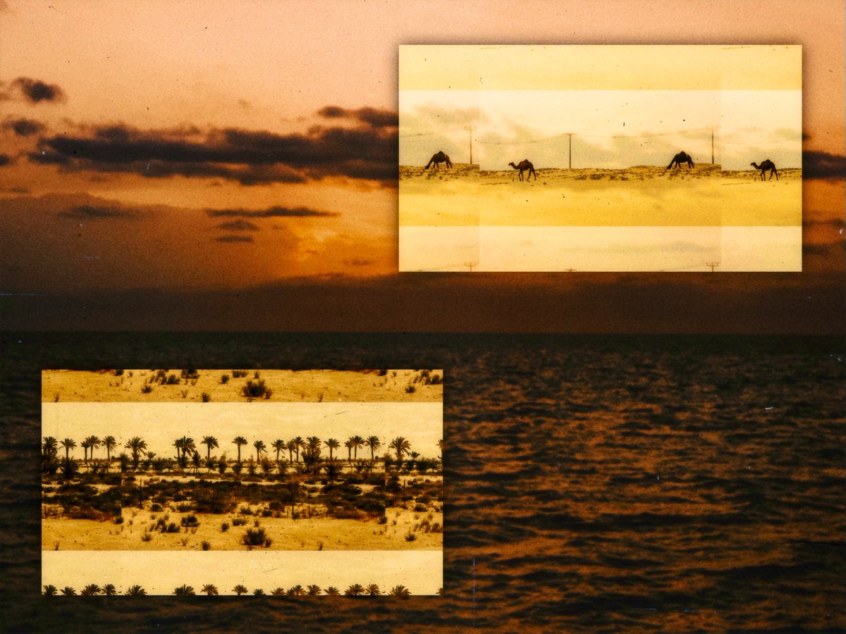 سـعـ … ـد tweet media