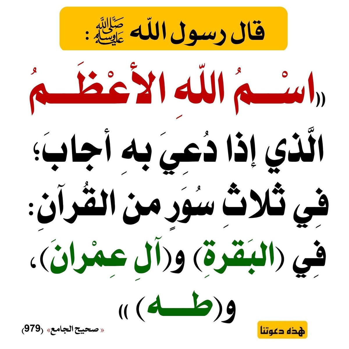 عادل بن أبي بكر tweet media
