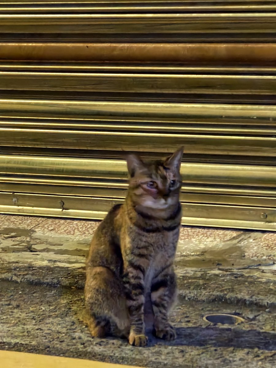 PK × 是台SWitch .ᐟ 圈內顯影劑 tweet media