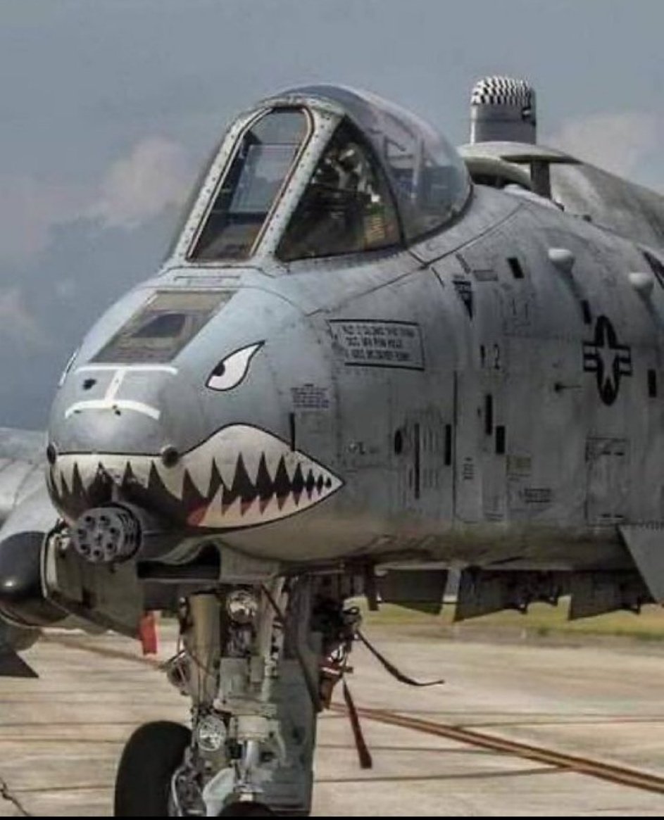 💛النصر🫰العالمي💛 tweet media