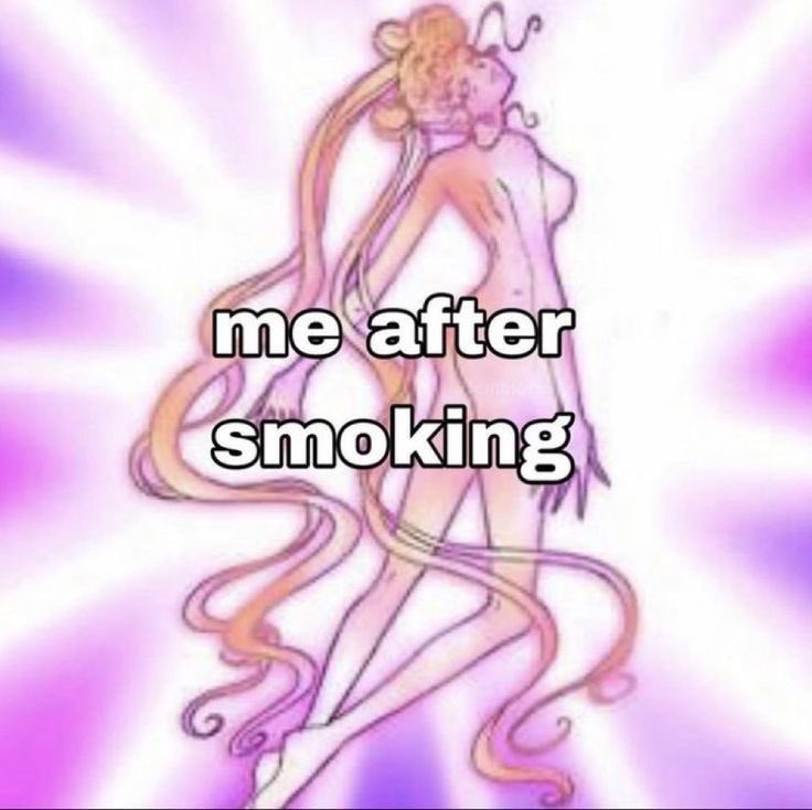 ˖ 𑣲 lyn tweet media