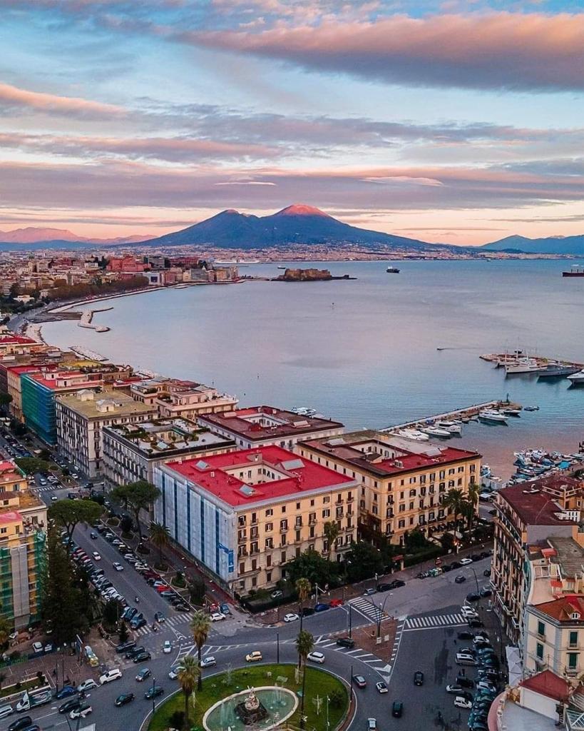 Roguers’ tweet media