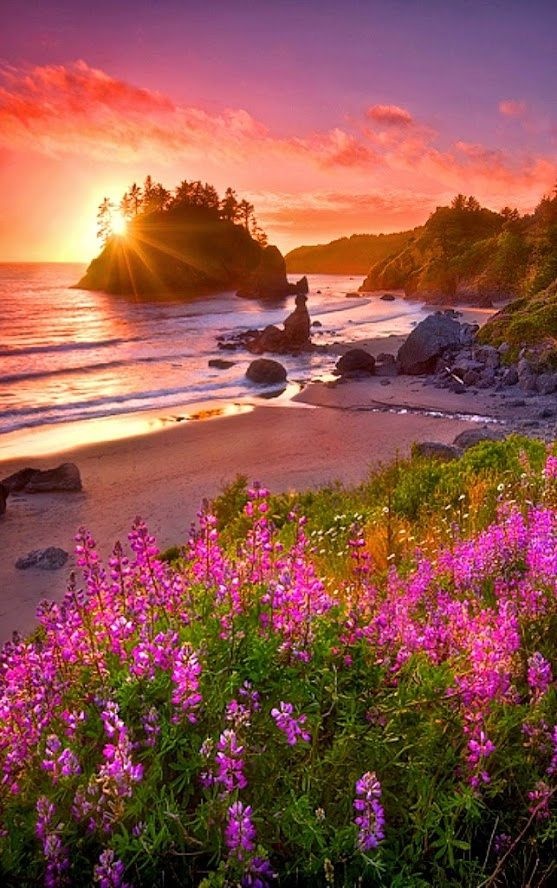 DAWN🌞 tweet media