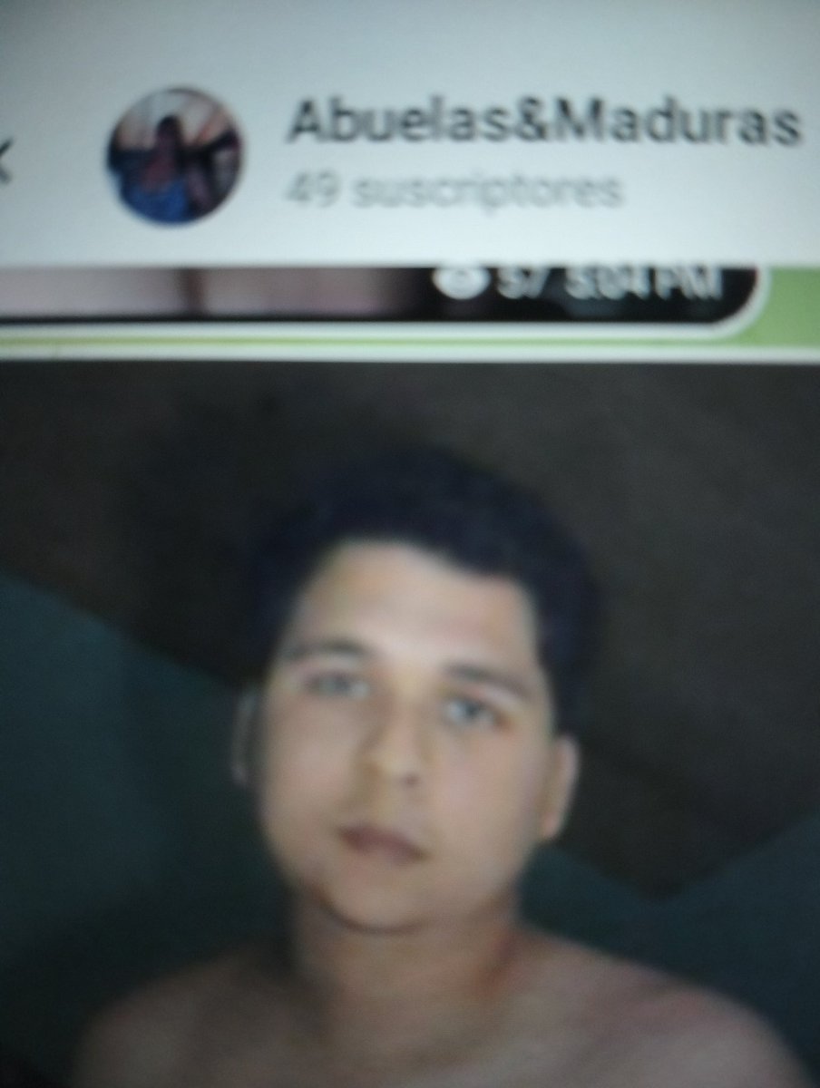 Gnomito666 tweet media
