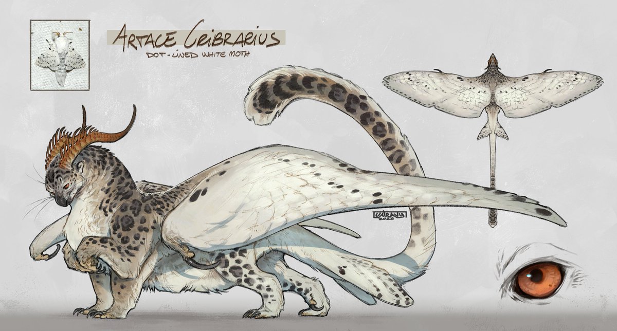 RAVioli 🥟🌿 MAINLY HERE: unravy.bsky.social tweet media