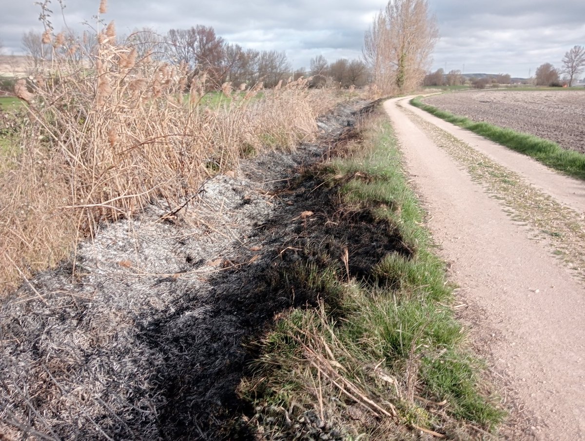 Jorge Soto tweet media