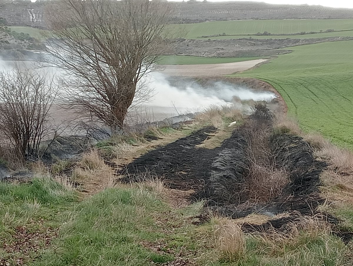 Jorge Soto tweet media