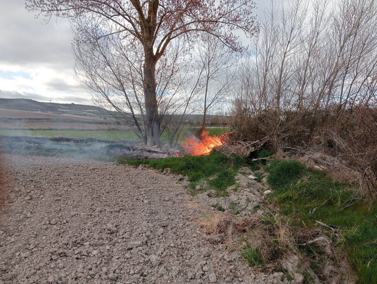 Jorge Soto tweet media