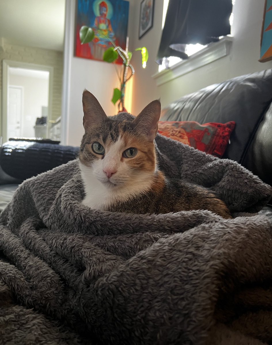 sus ಠ_ಠ tweet media