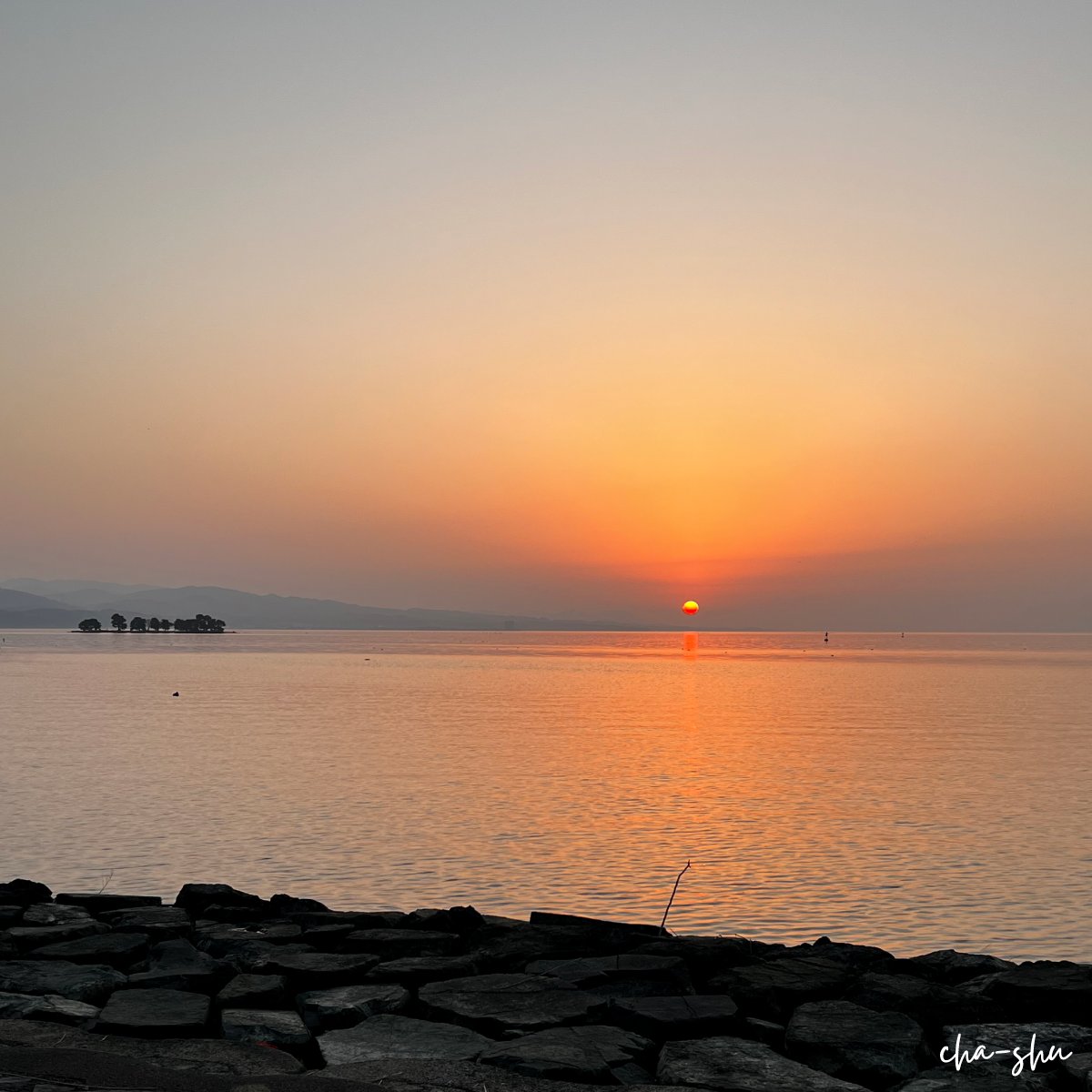 ちゃーしゅう🍖ひとり新聞部 tweet media