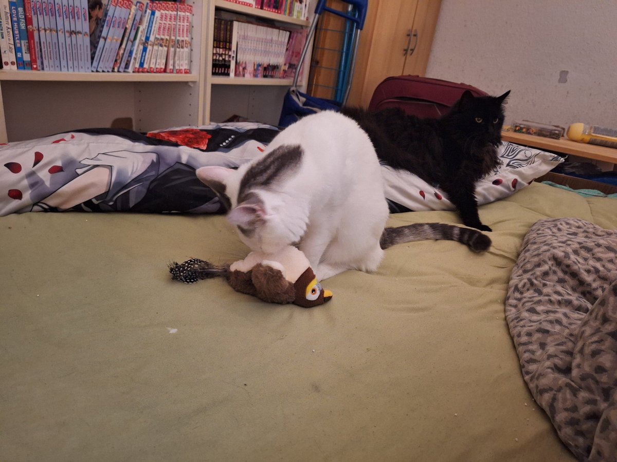 Moonlight1989 tweet media