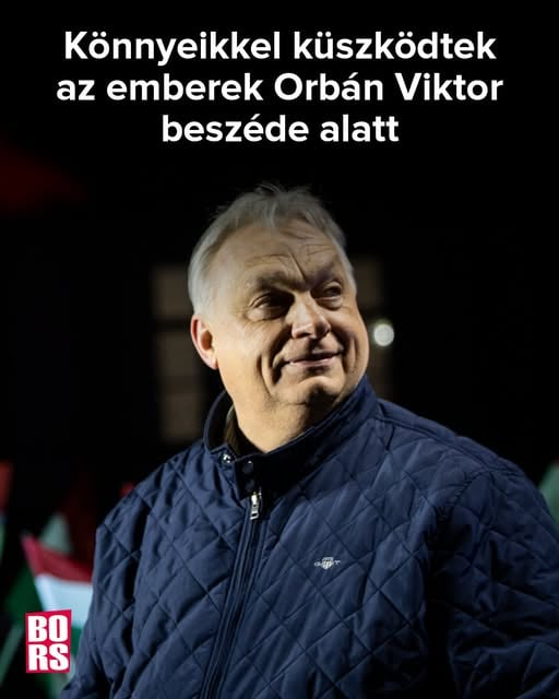 klarky tweet media