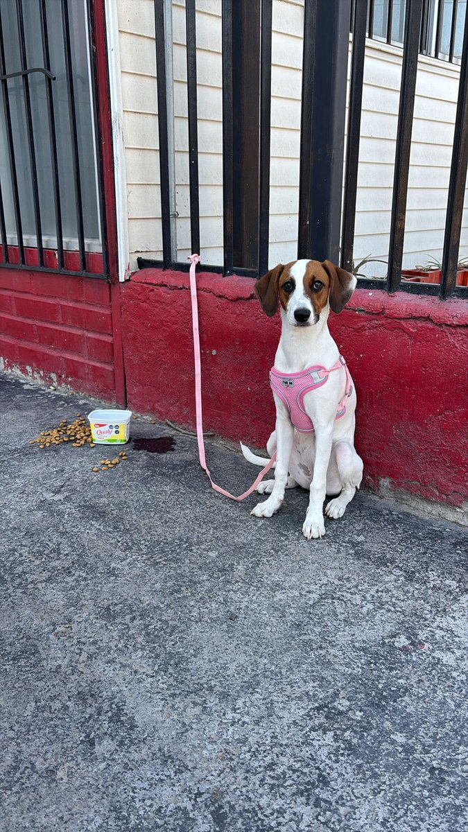 Cloe Kim tweet media