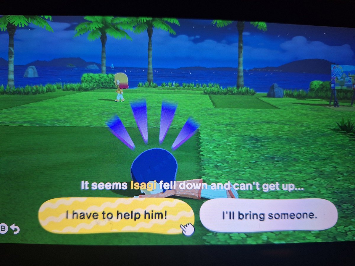 bachi 🐝🐬 #teamBOTH tweet media