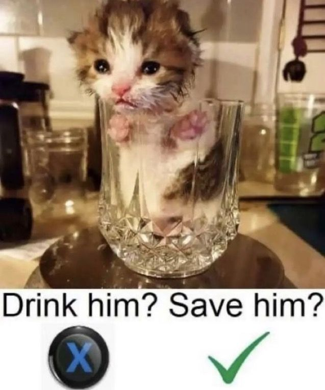 i drink soup tweet media