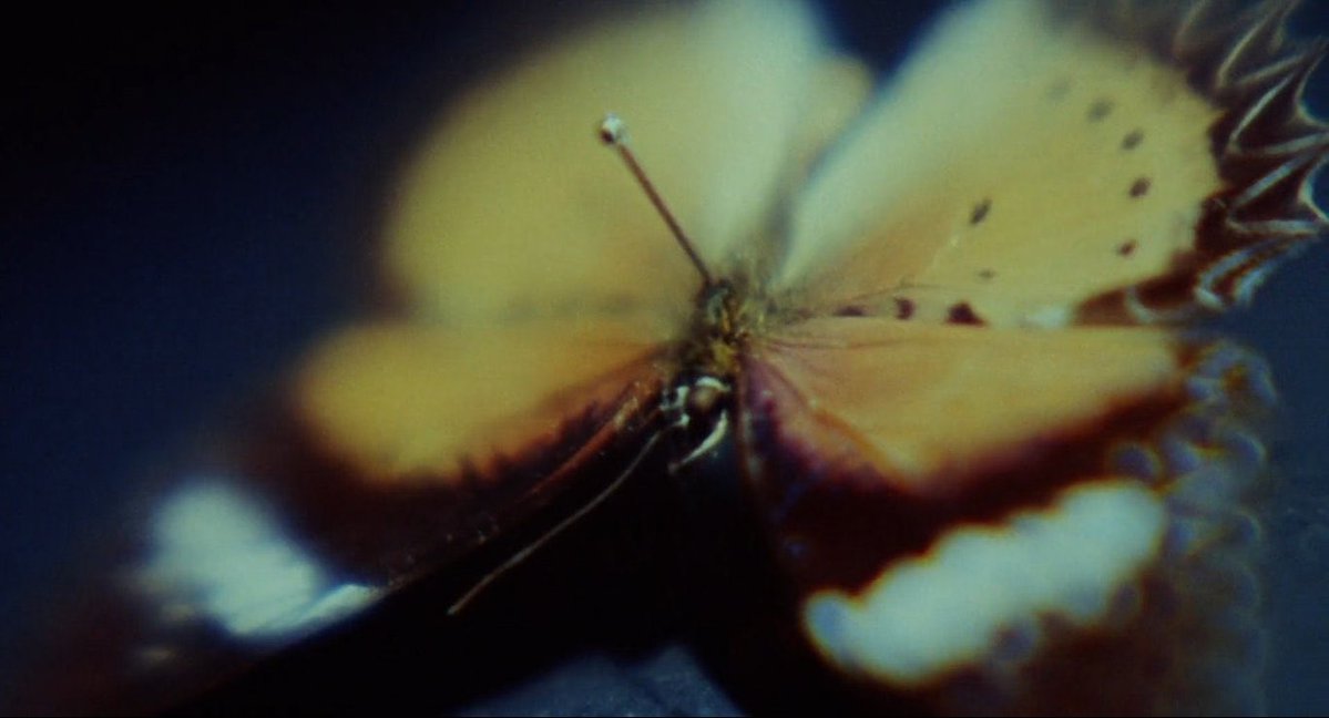 Sebastián. tweet media