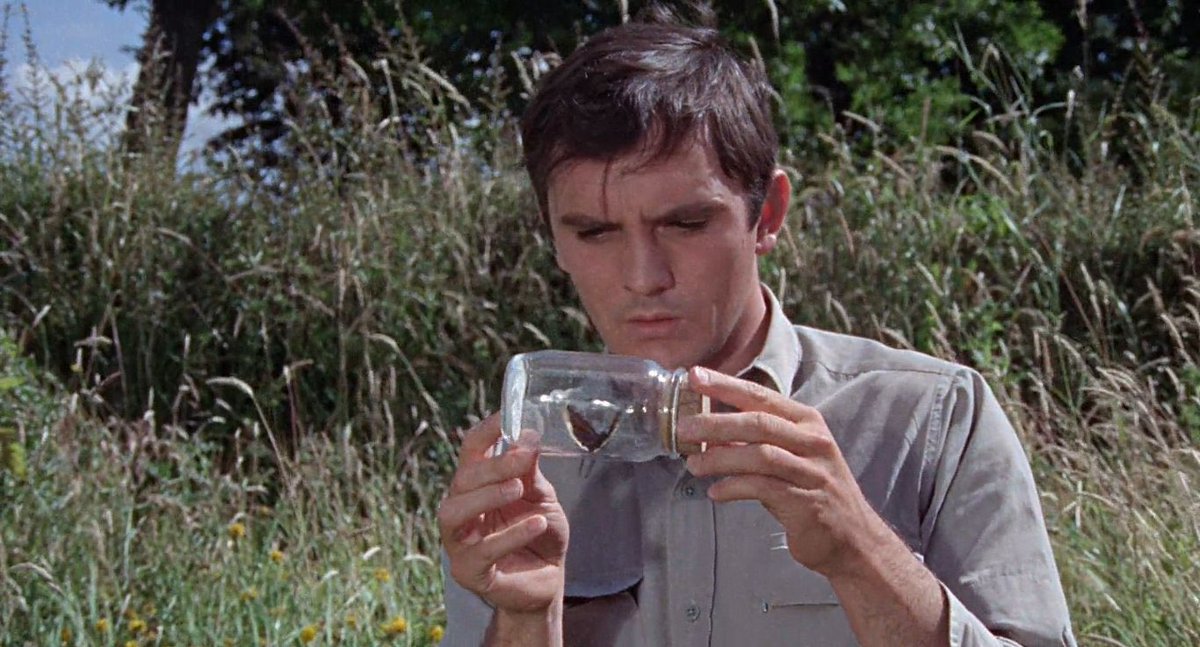 Sebastián. tweet media