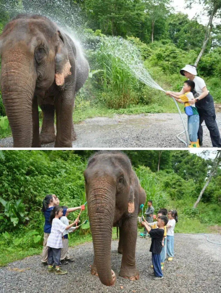 norman plantz tweet media