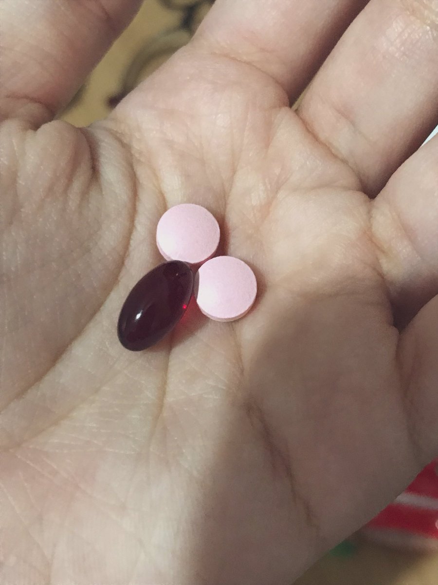 gata gorda -1 tweet media