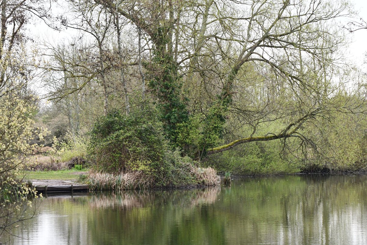 Daniel Brown tweet media