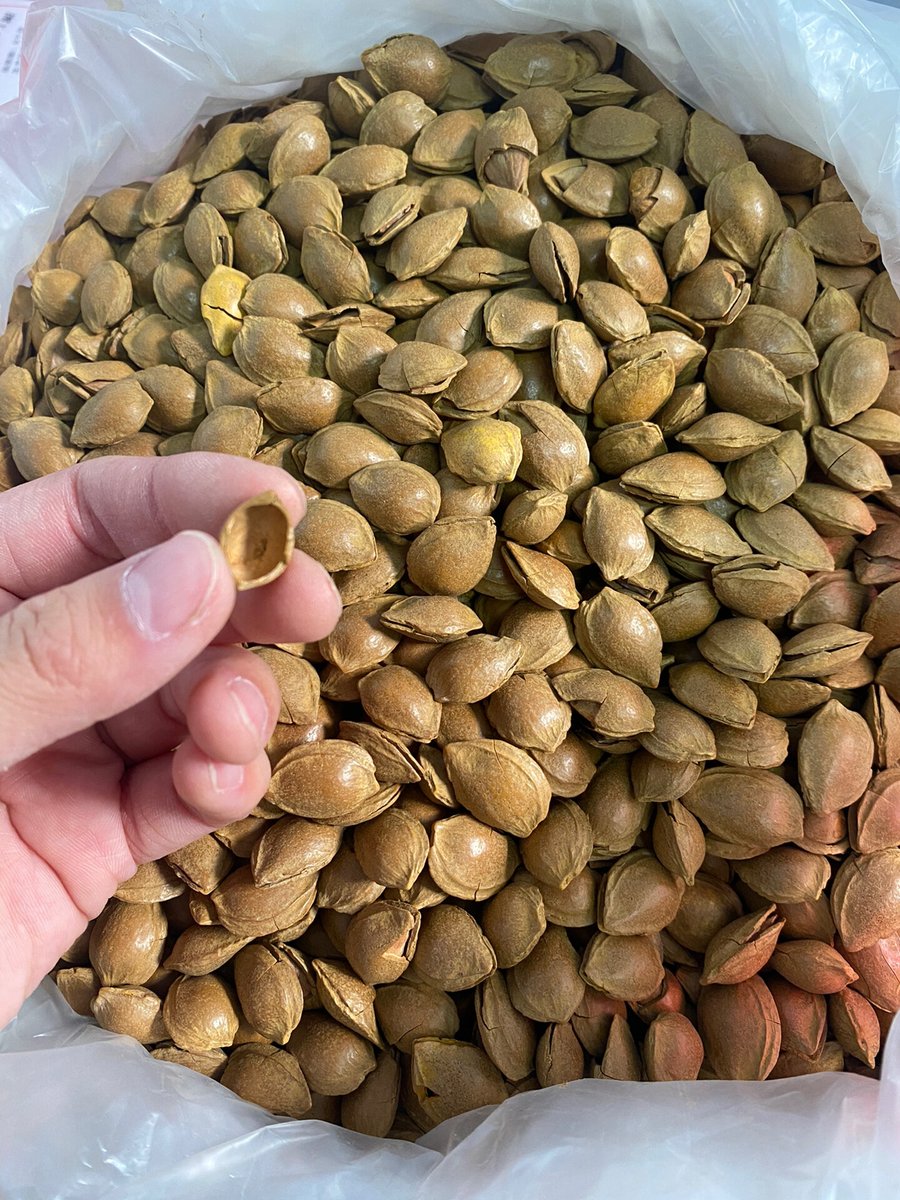 Dàbãrî Têø tweet media