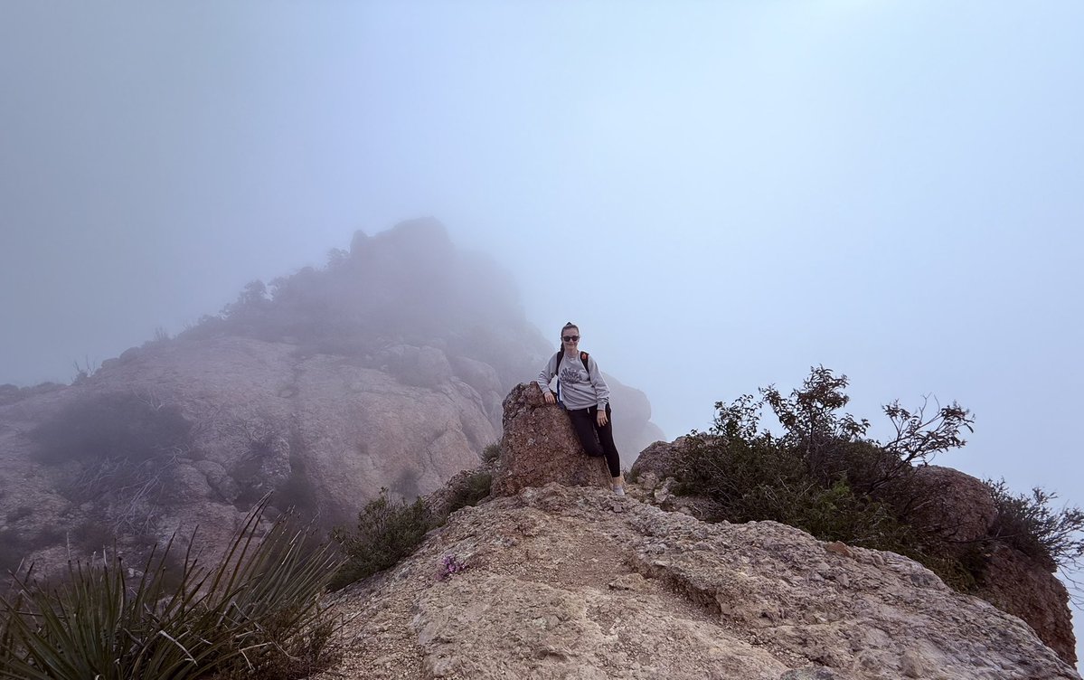 Emily Bloom tweet media