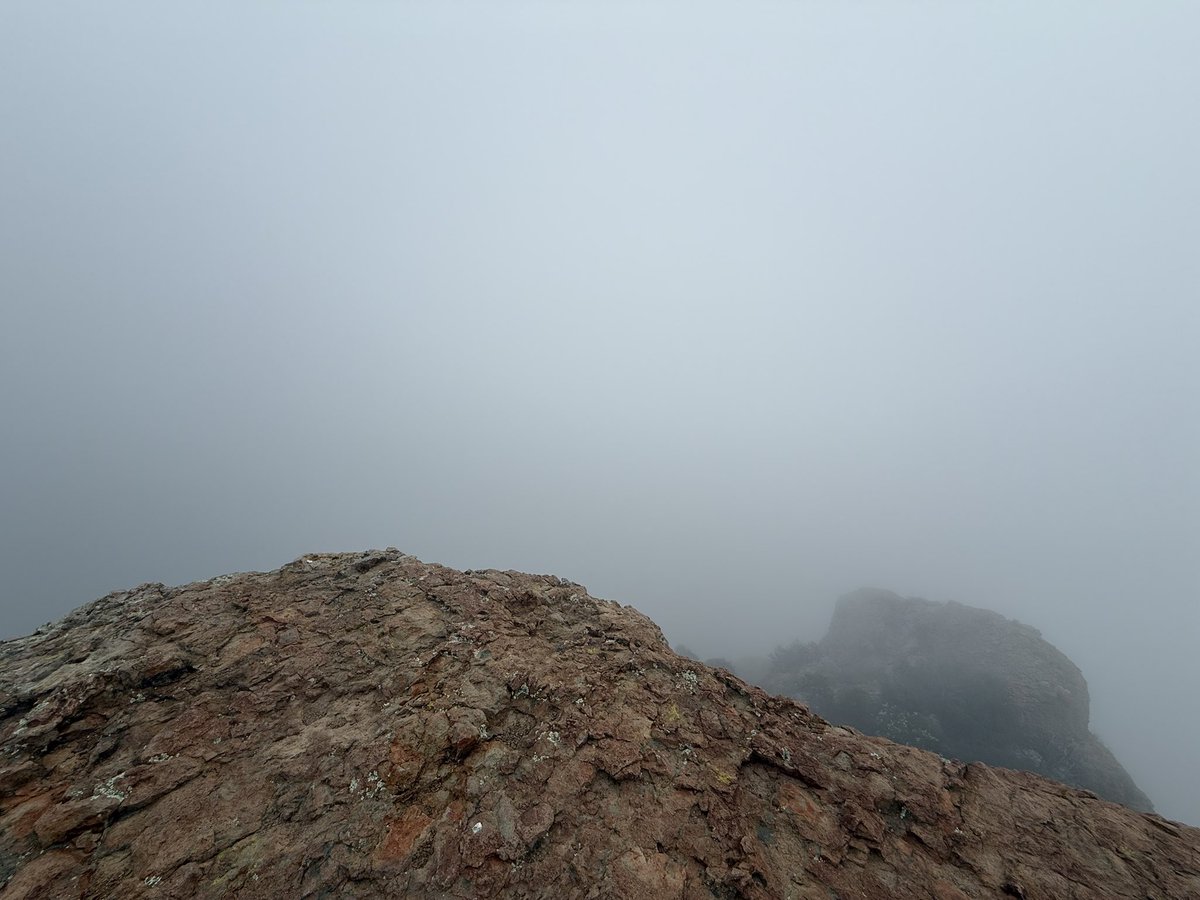 Emily Bloom tweet media