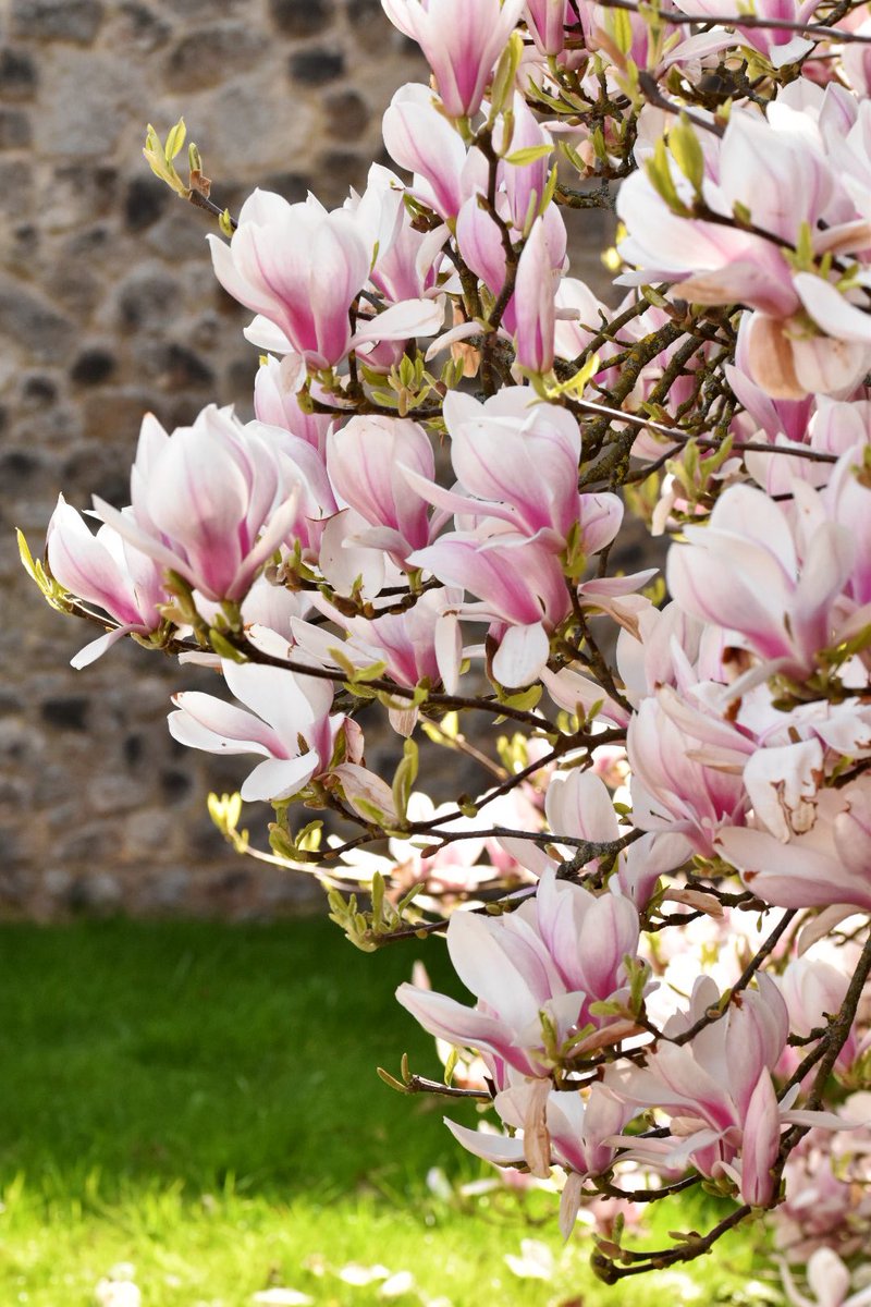 Tony 🇬🇧 tweet media