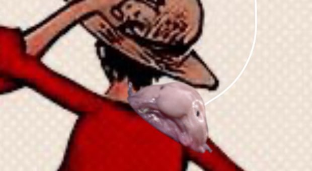 ‍‍‍ ‍ ‍ ‍‍ 𝑱̶𝑶̶𝑲̶𝑬̶𝑹̶ tweet media