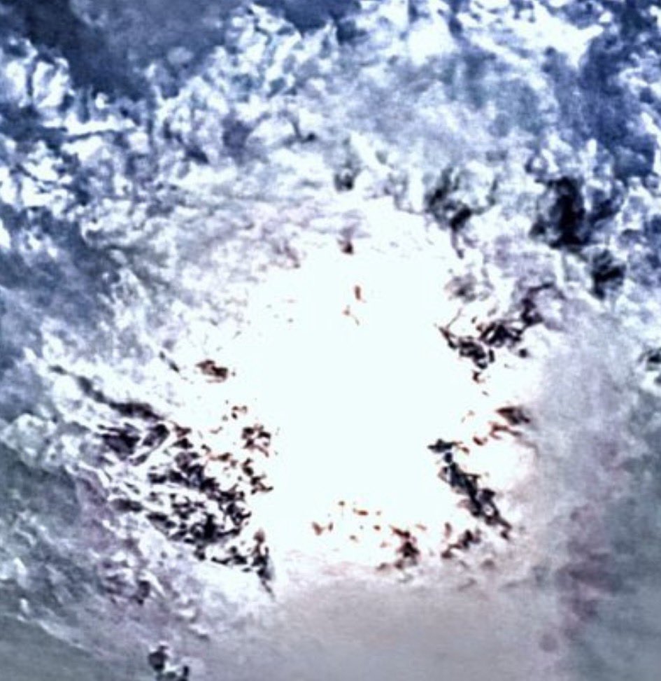 Stacy Blue Ray tweet media