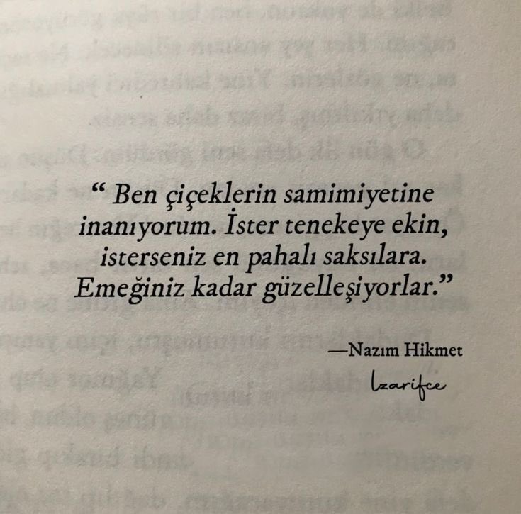 MScengnr00's tweet photo. Var ama yok, orada ama değil, yakın gibi ama uzak…
🪴🪴 https://t.co/MHo4DktJk3