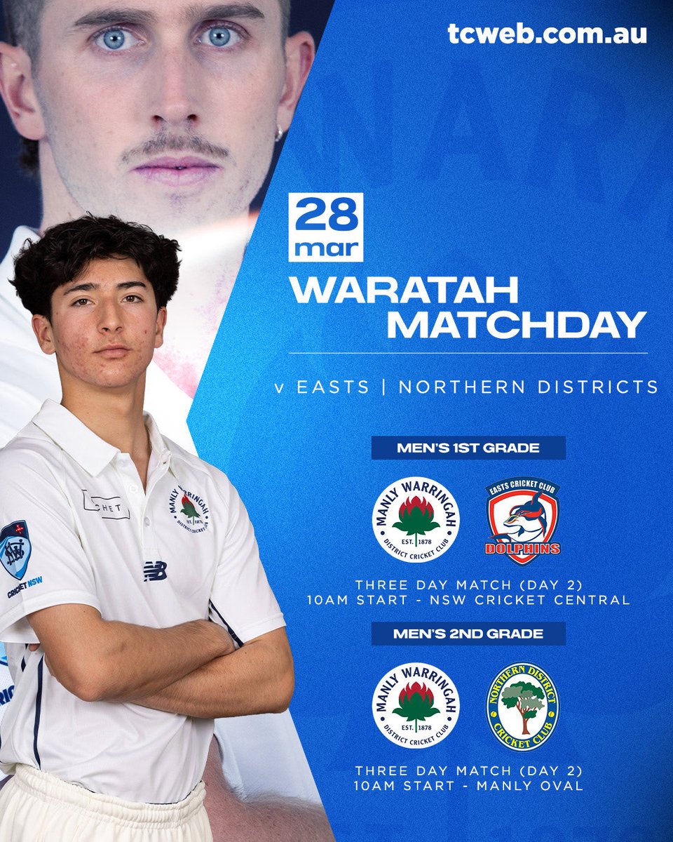 Manly Cricket tweet media