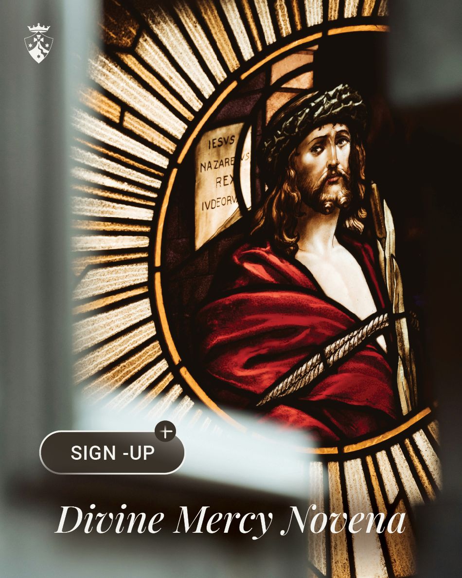 CarmelitesOCD's tweet image. Our world is in need of #Mercy. #DivineMercySunday is a day when the pierced heart of Jesus stands open with mercy for the world, as he spoke to St. Faustina: "On that day the very depths of My tender mercy are open."