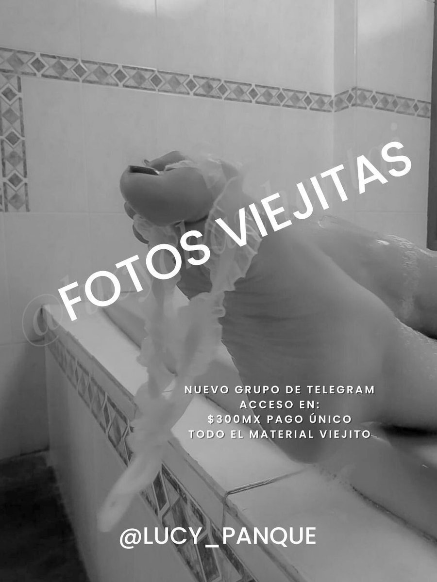 Gato_Panque tweet media