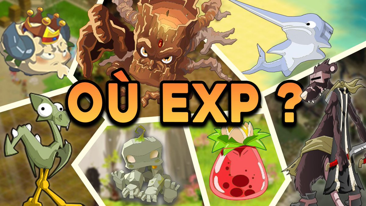 Pro Team tweet media