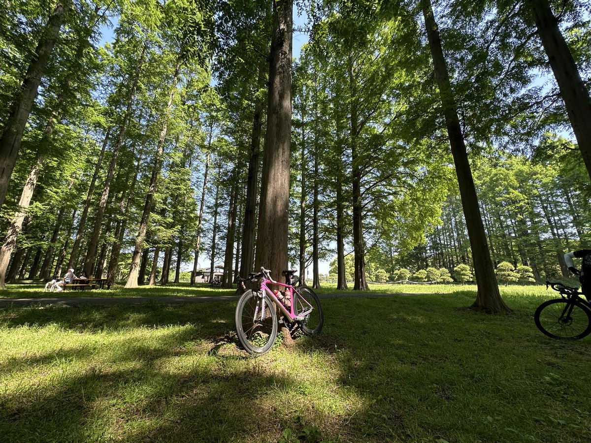 マチューッピ tweet media