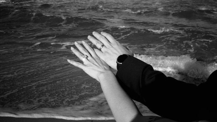 Nightbloom tweet media