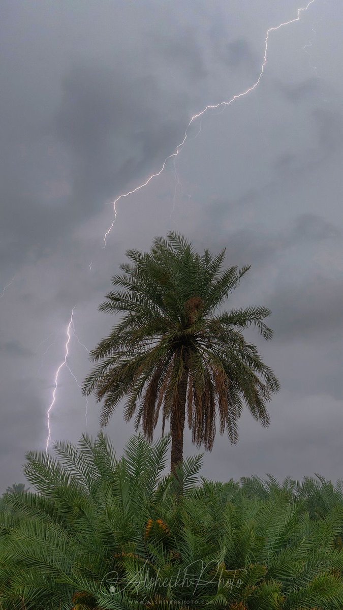 د.أحمد حمد البوعلي tweet media