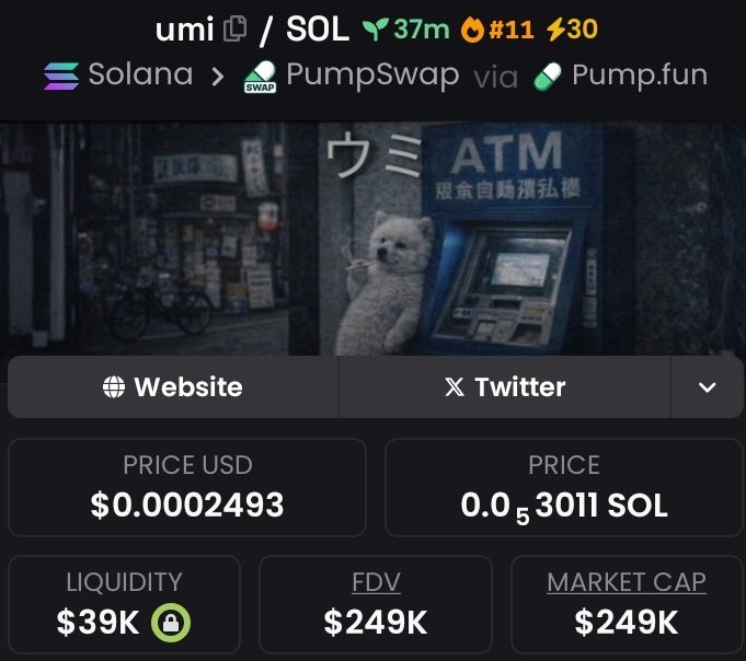 CAPTAIN 🚨🏴 tweet media