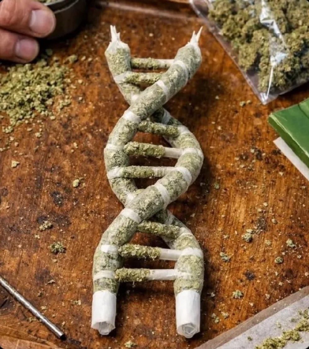 Stoner Barbie tweet media