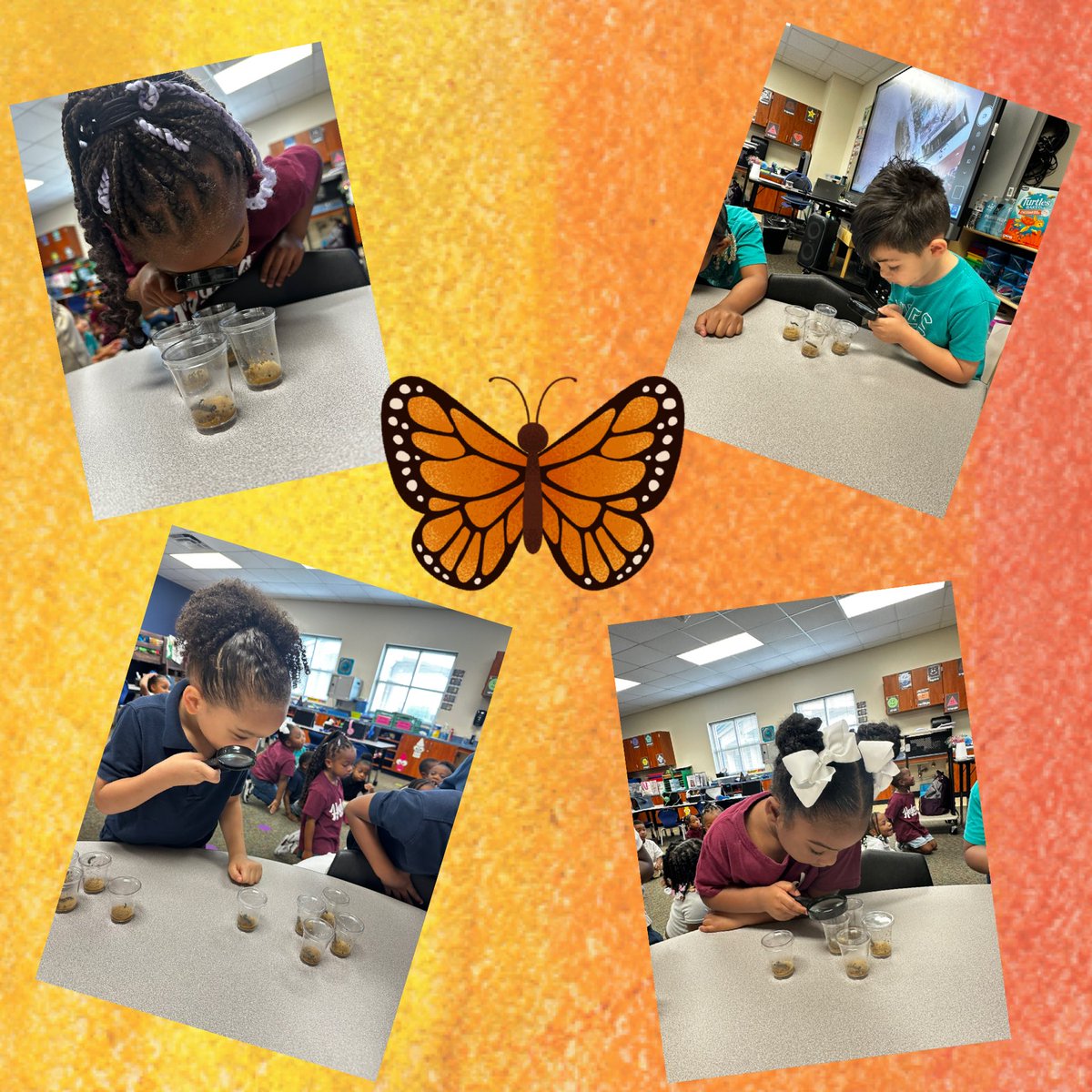 Hoyland Elementary tweet media