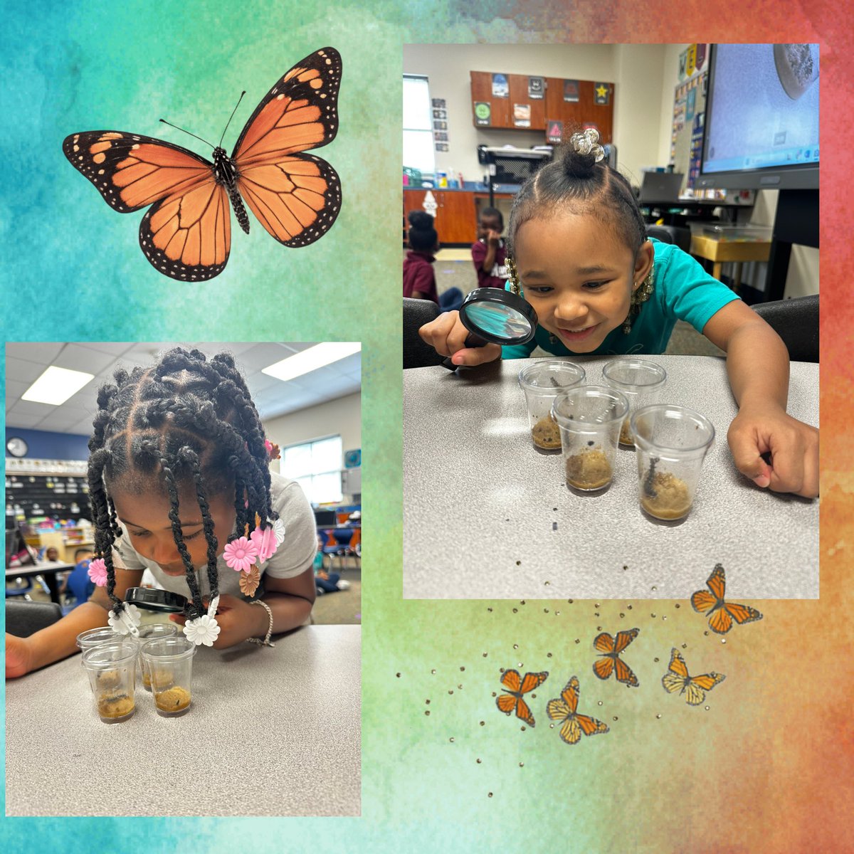 Hoyland Elementary tweet media