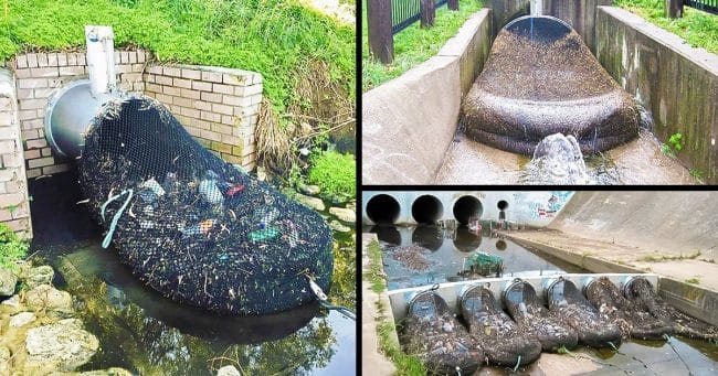 Cecil Alfonso Botero Ballestas tweet media